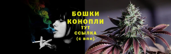 шишки Наволоки