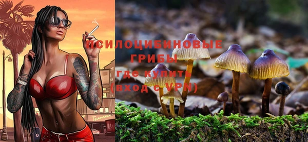 шишки Михайловск