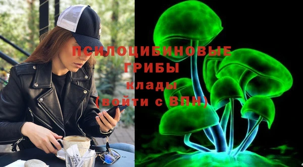 шишки Наволоки